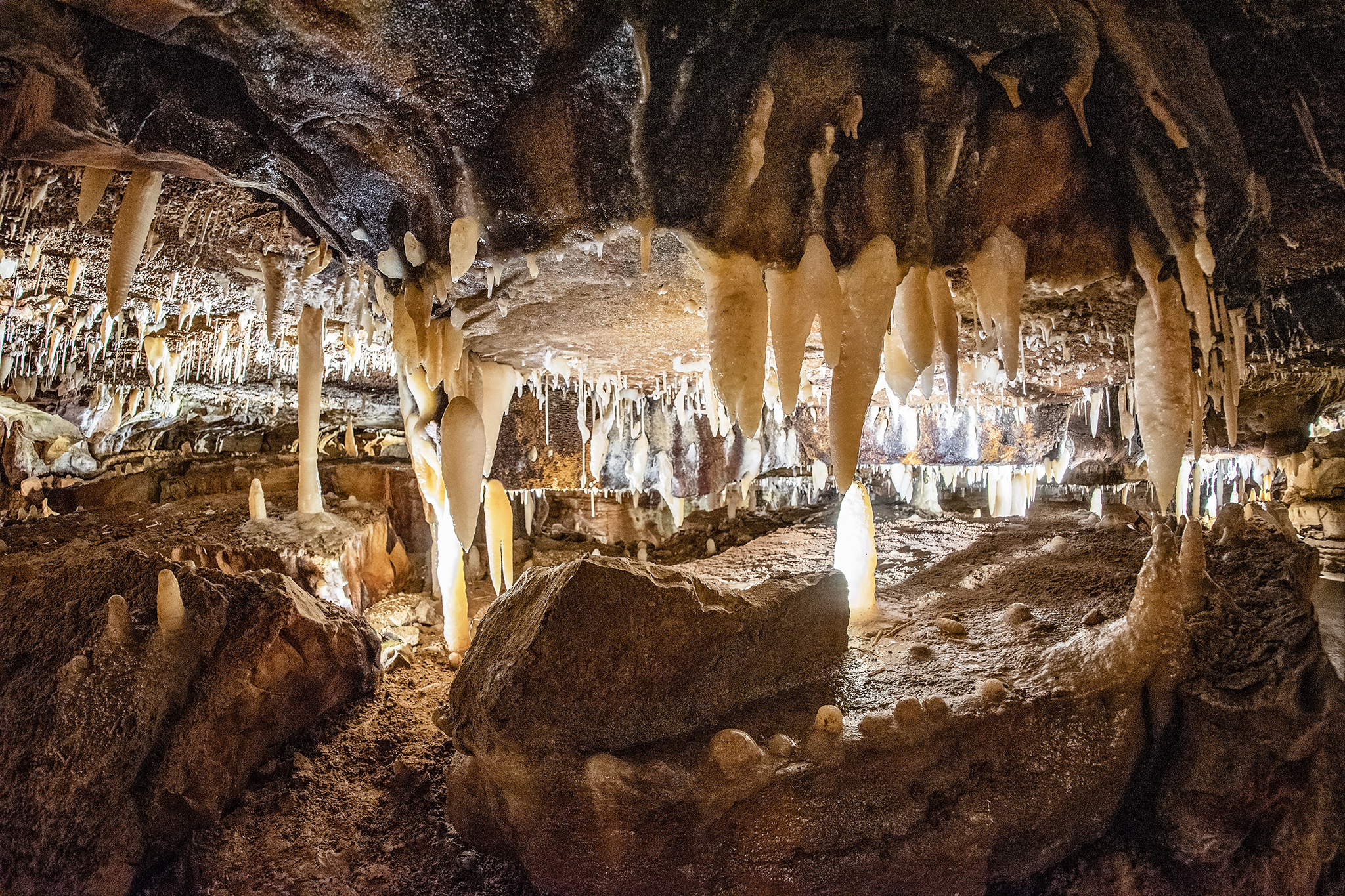 Go to the Ohio Caverns