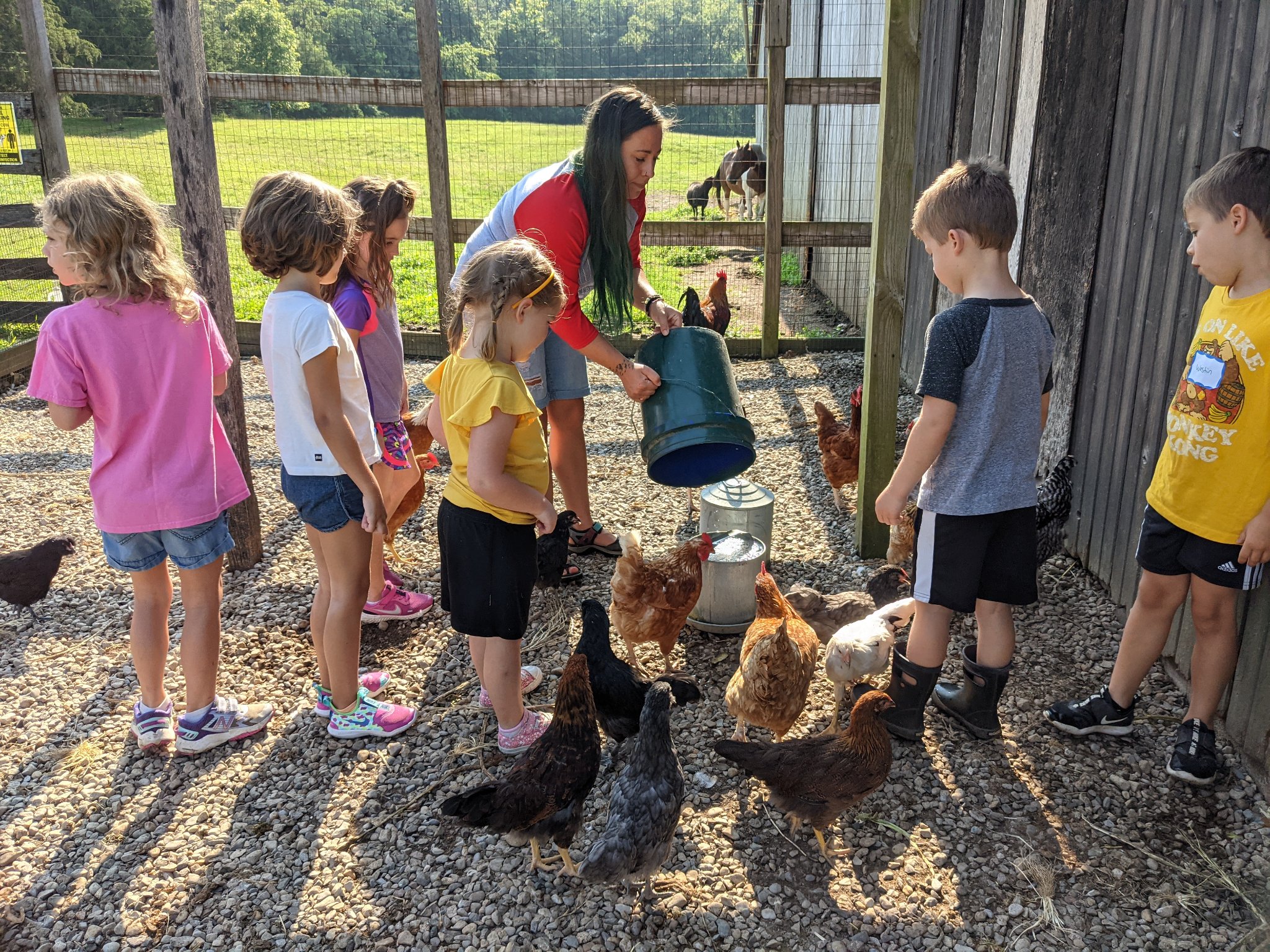 Visit the Learning Tree Farm