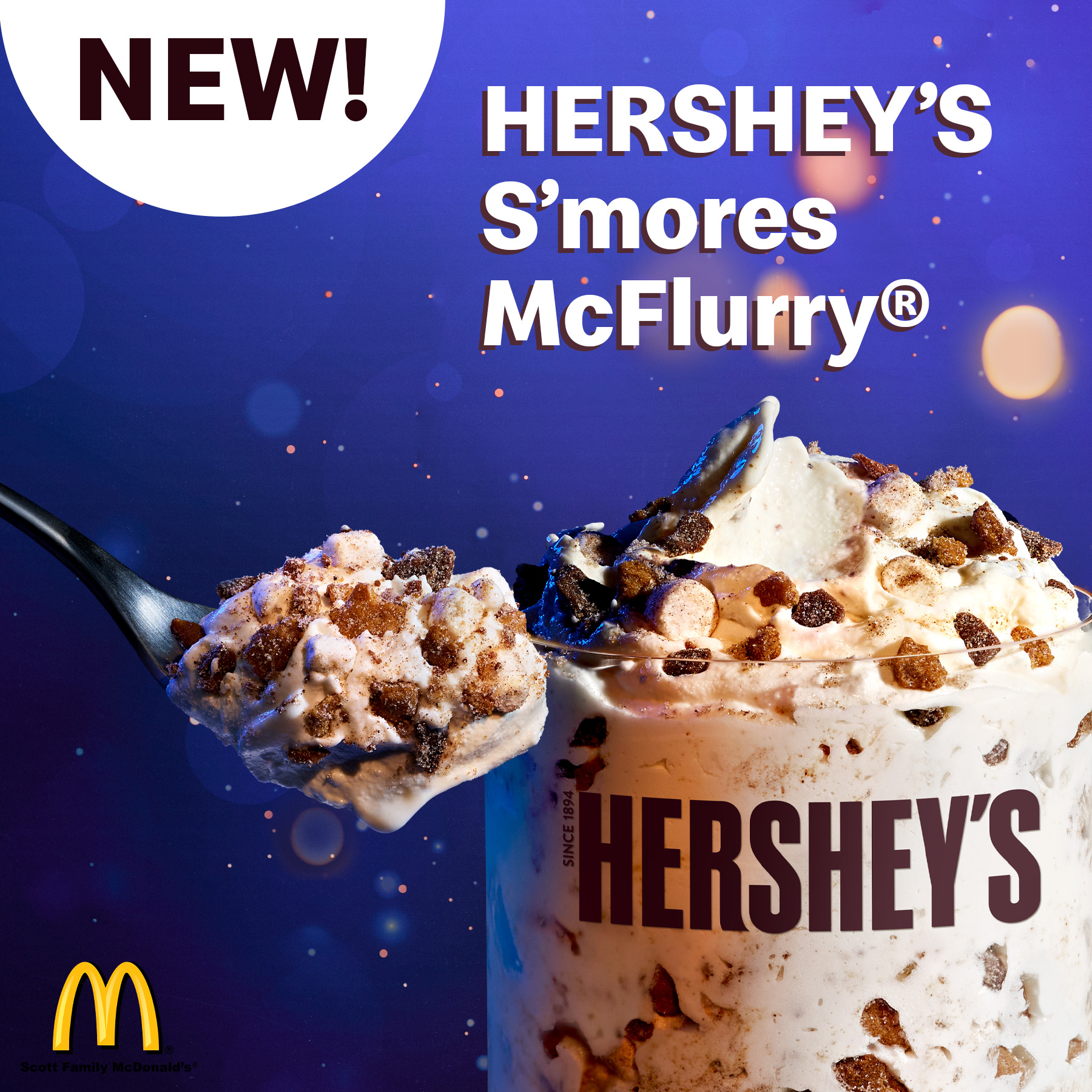 S'mores McFlurry