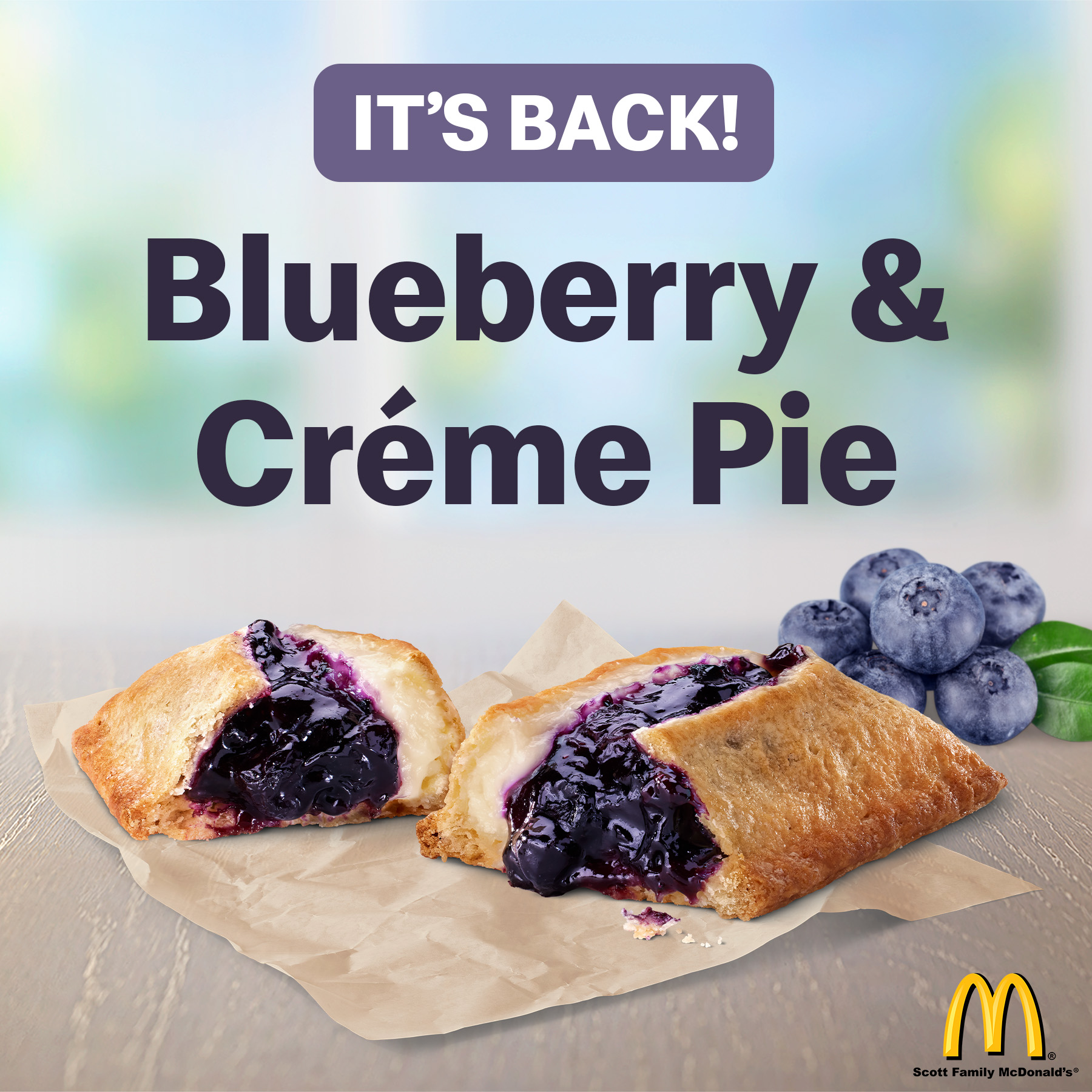 Blueberry & Creme Pie 2